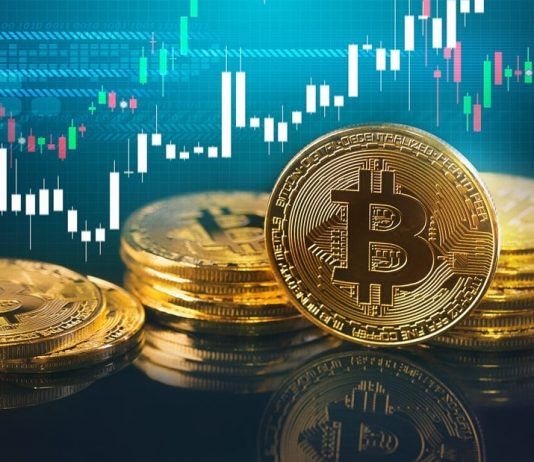 Conoce a las mejores casas de cambio de criptomonedas Zona Gratuita